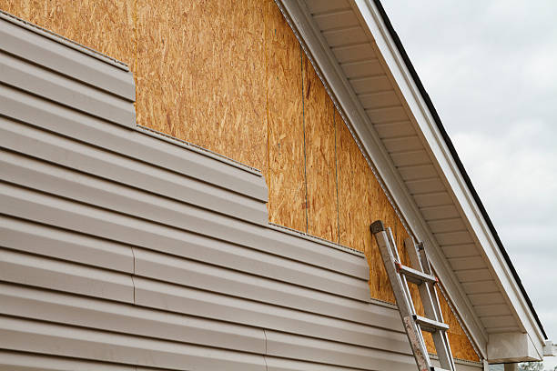 Professional Siding Repair technician working in Powell, TN